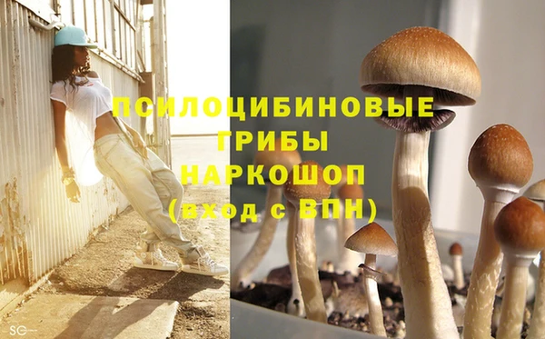 хмурый Абдулино